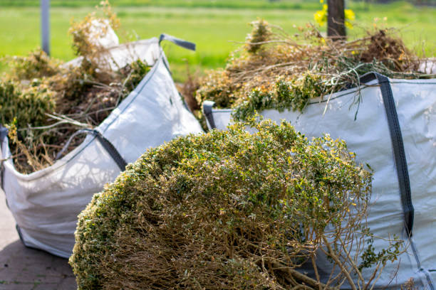 Best Appliance Removal Near Me  in Germantown, OH